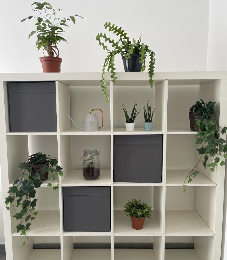 Ami House Roma Apartment Bagian luar foto